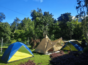 Screenshot 2025-01-09 at 4.23.46 PM